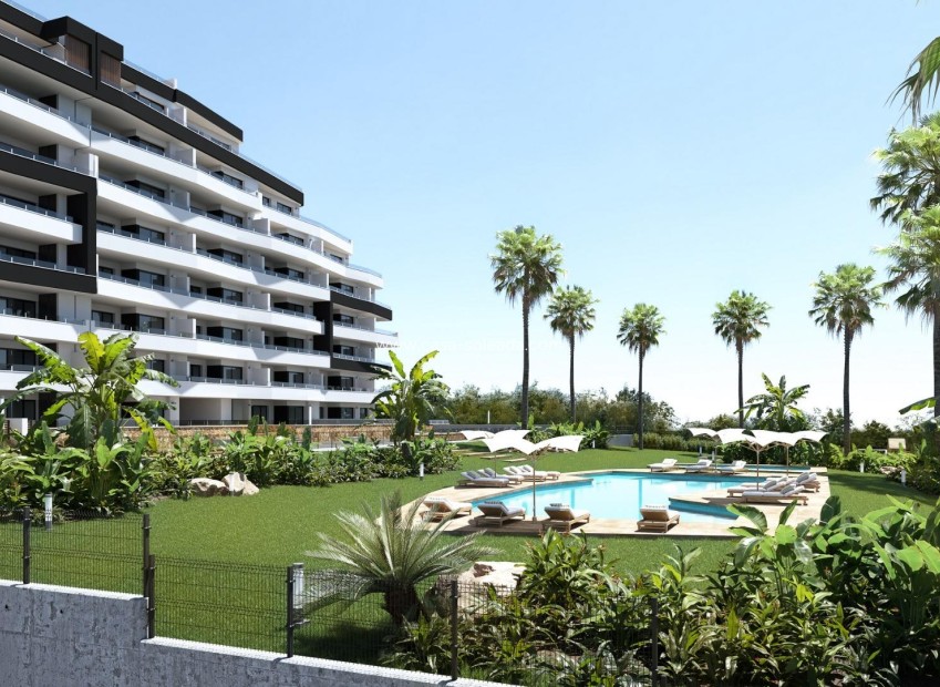 New Build - Apartment / flat - San Miguel de Salinas - Pueblo