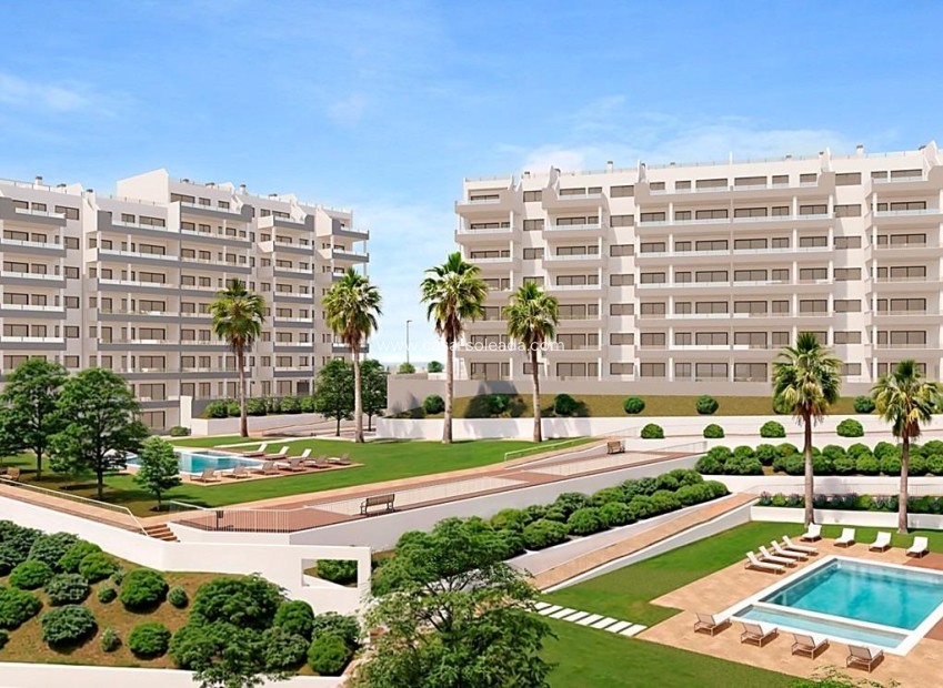 New Build - Apartment / flat - San Miguel de Salinas - Pueblo
