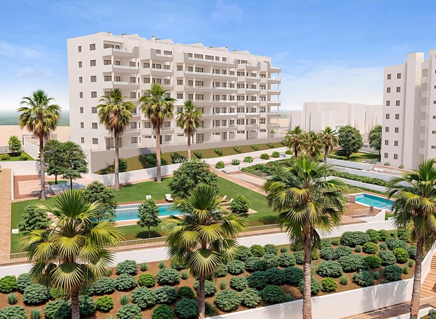 New Build - Apartment / flat - San Miguel de Salinas