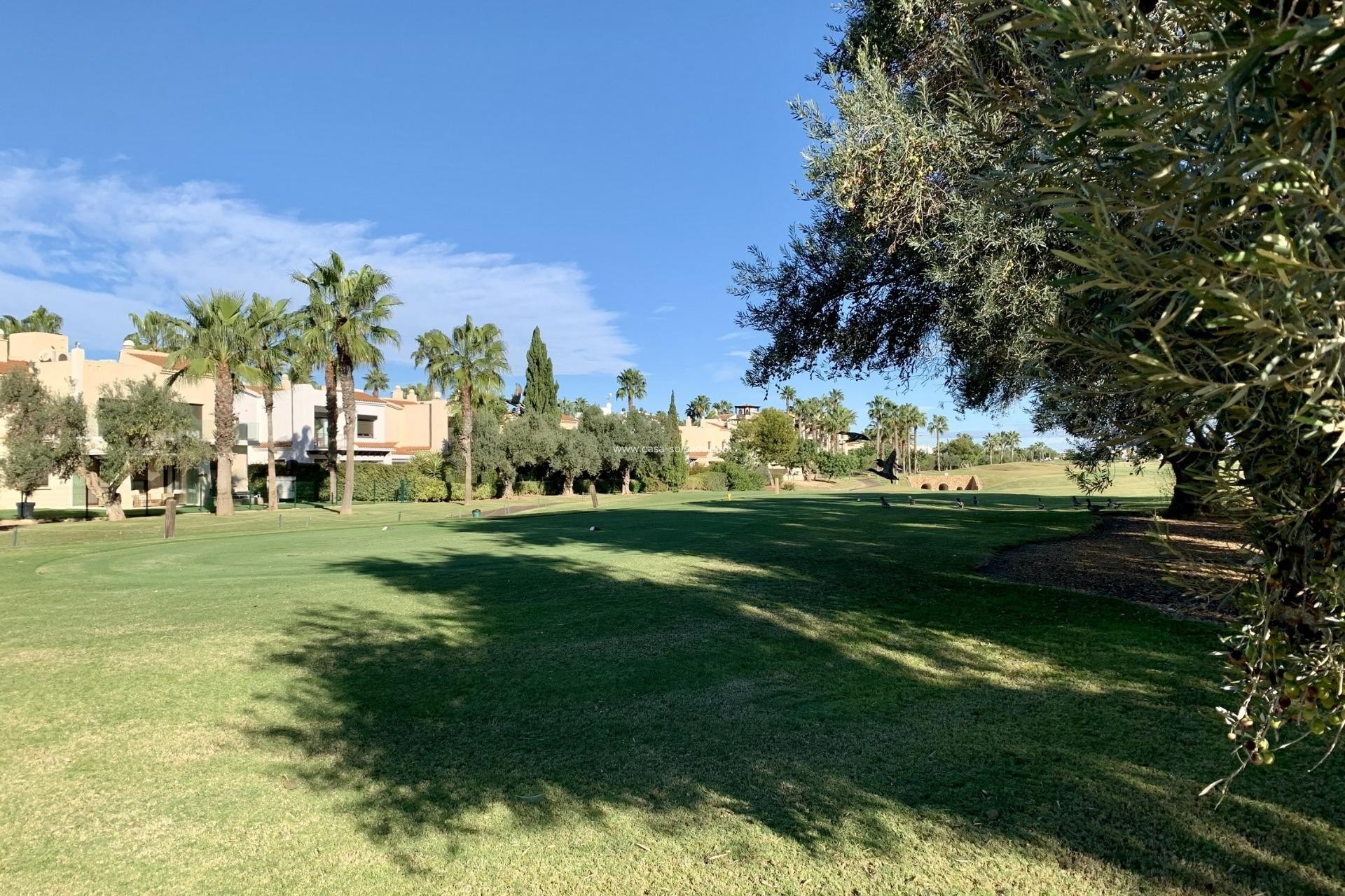 New Build - Bungalow - San javier - Roda Golf