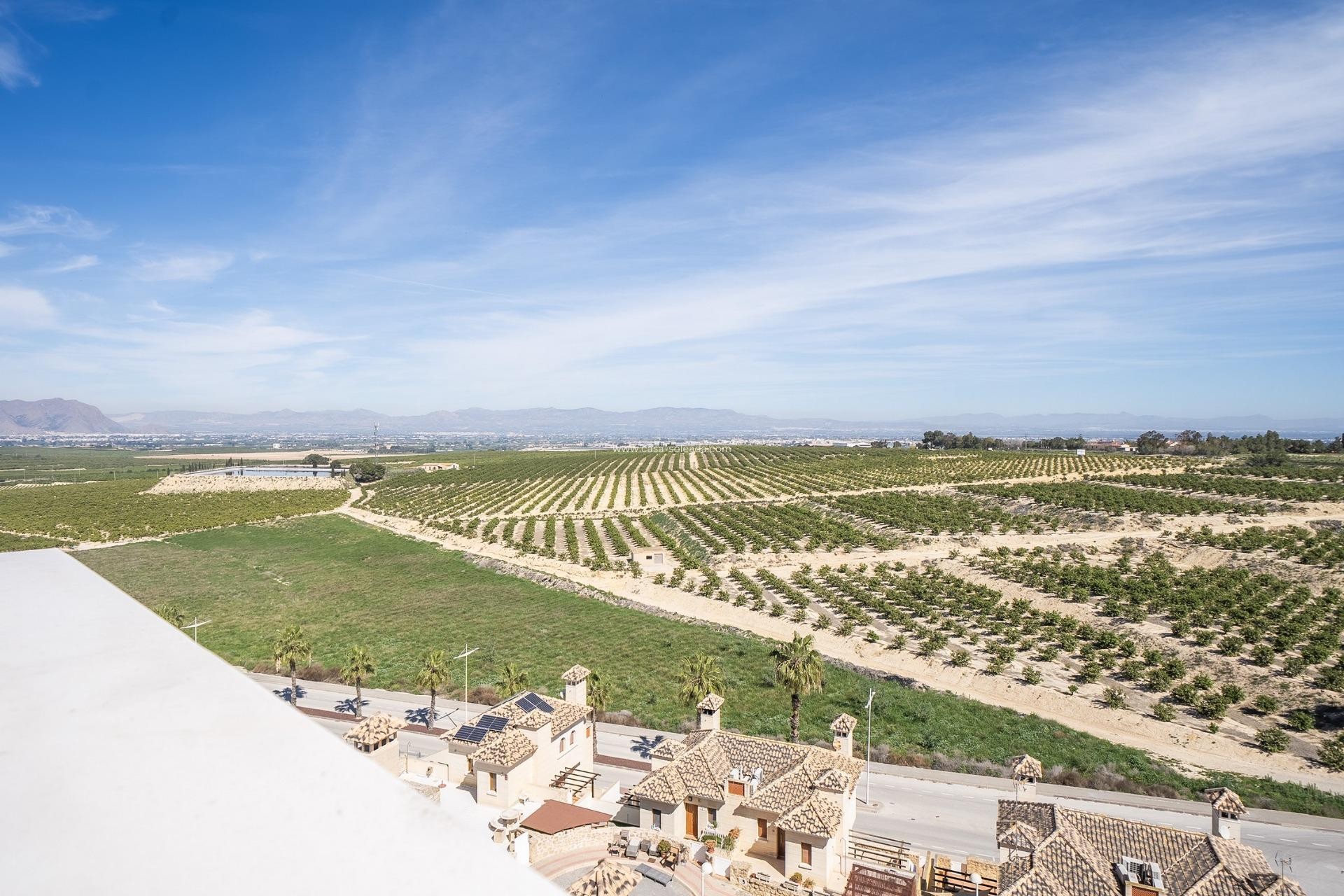 New Build - Villa - Algorfa - La Finca Golf Resort