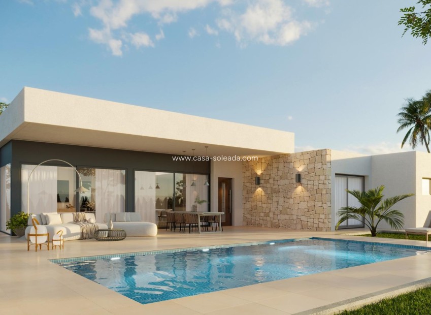 New Build - Villa - Aspe - Poligono 19
