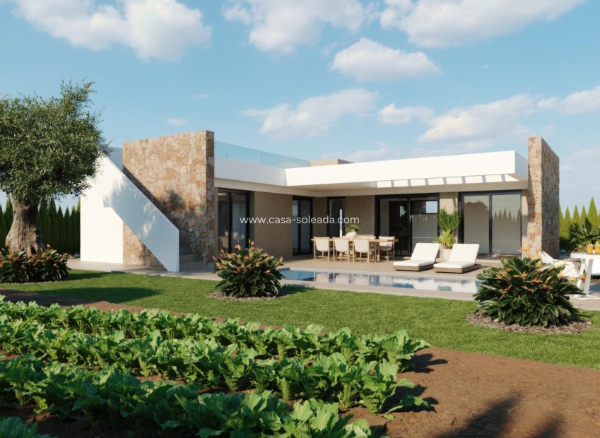 New Build - Villa - Fuente Alamo - Hacienda del Alamo