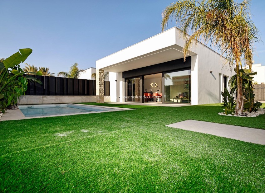 New Build - Villa - Molina de Segura - Molina De Segura