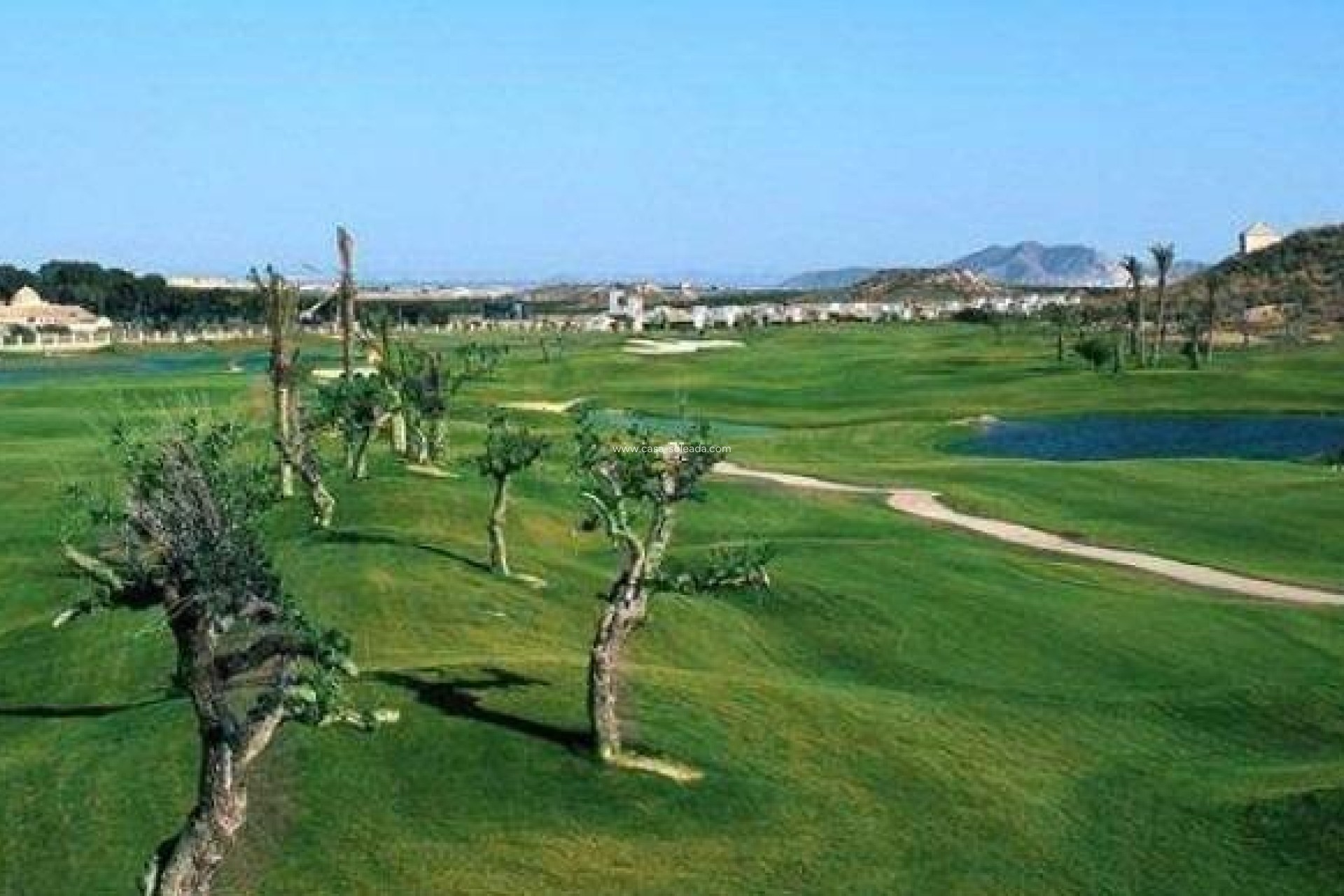 New Build - Villa - Sucina - Peraleja Golf