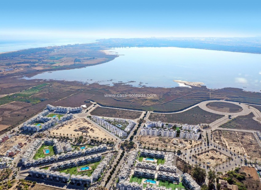 Nieuwbouw Woningen - Appartement / flat - Guardamar del Segura - El Raso