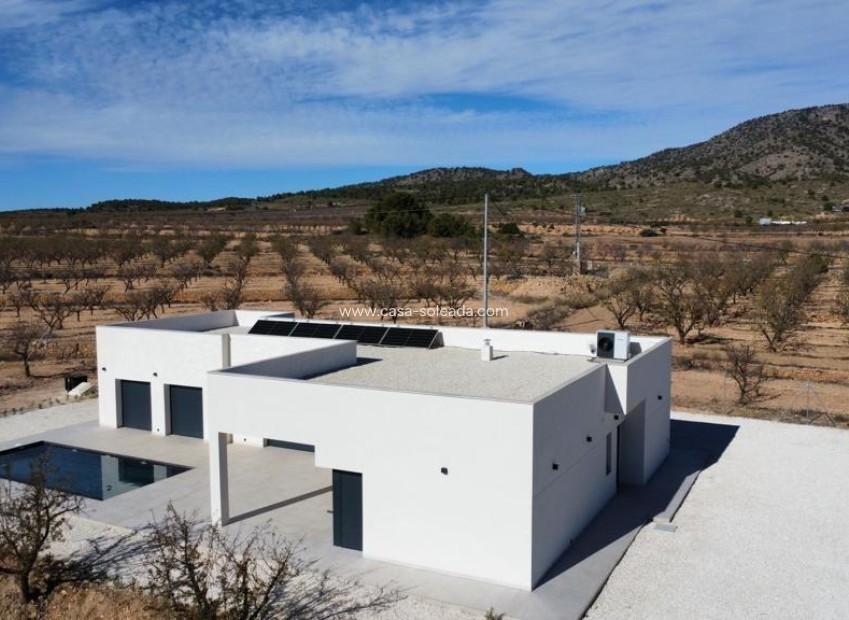 Nieuwbouw Woningen - Villa - Pinoso - Lel