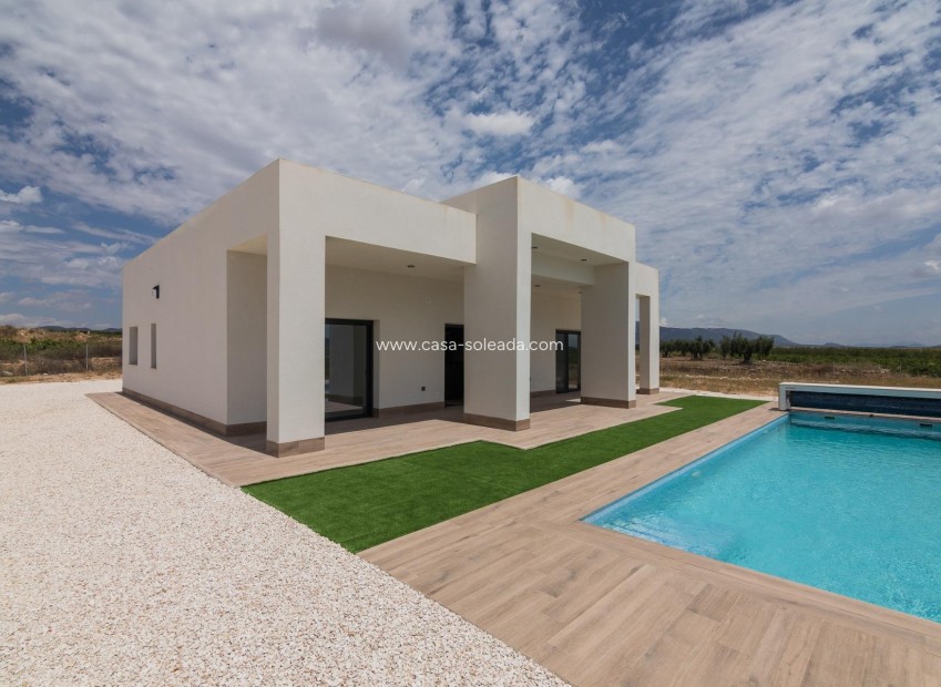 Nieuwbouw Woningen - Villa - Pinoso - Lel
