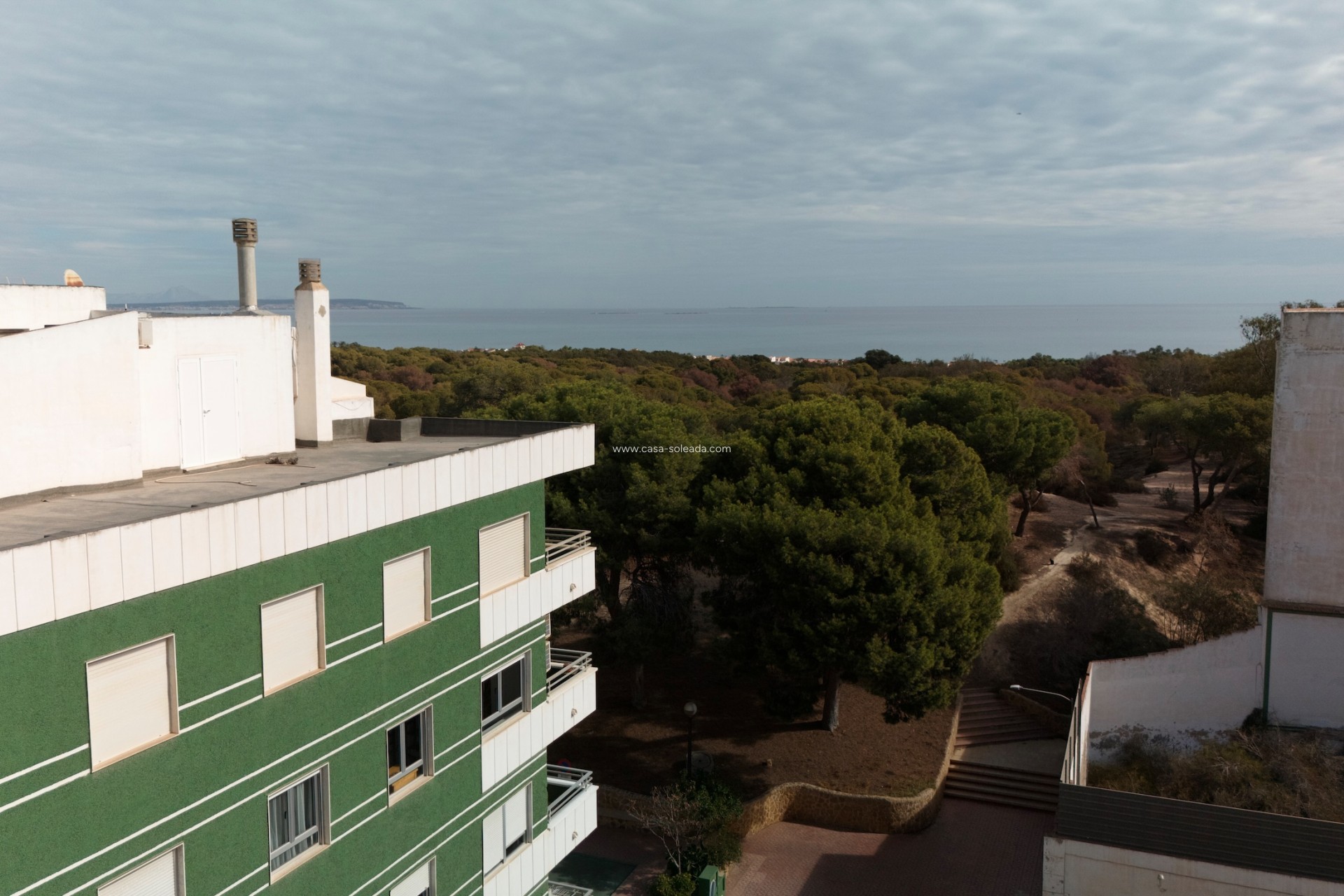 Nouvelle construction - Appartement - Guardamar del Segura