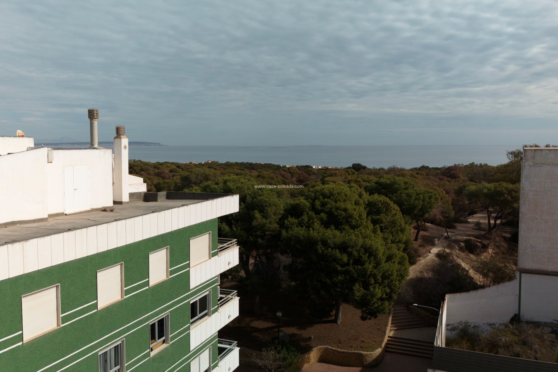 Nouvelle construction - Appartement - Guardamar del Segura