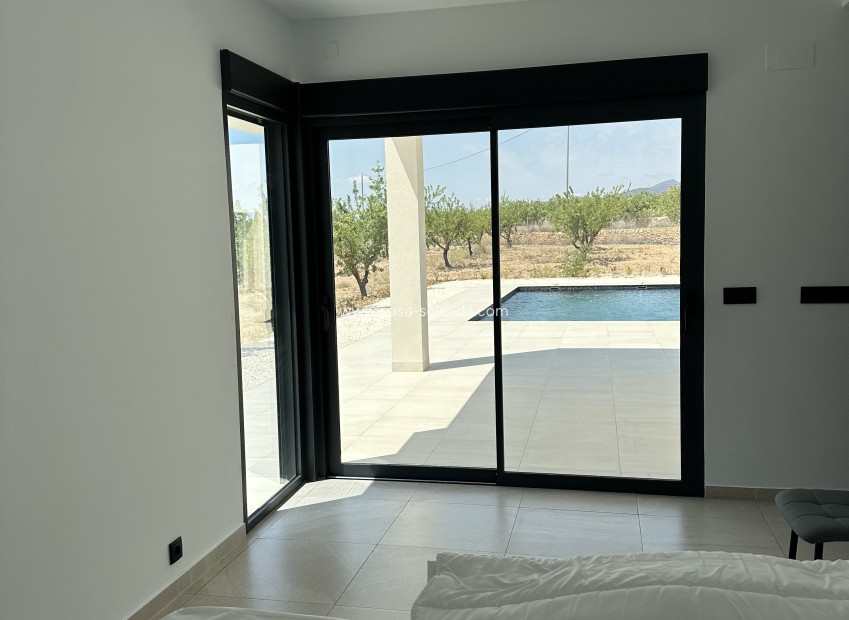 Nouvelle construction - Villa - Pinoso