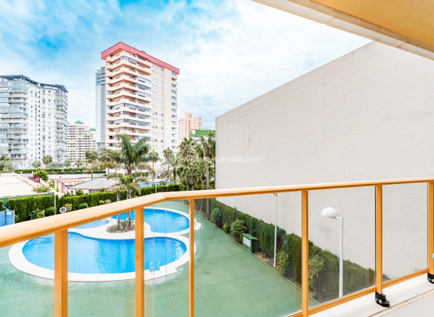 Obra nueva - Apartamento / piso - Calpe