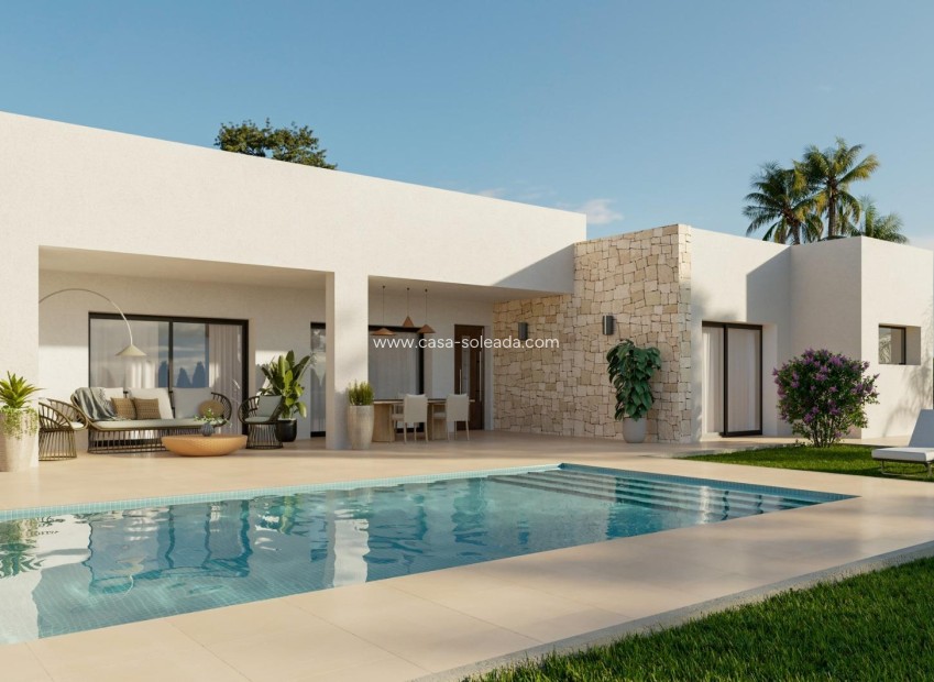 Obra nueva - Villa - Aspe - Poligono 19