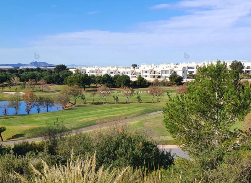 Obra nueva - Villa - Pilar de la Horadada