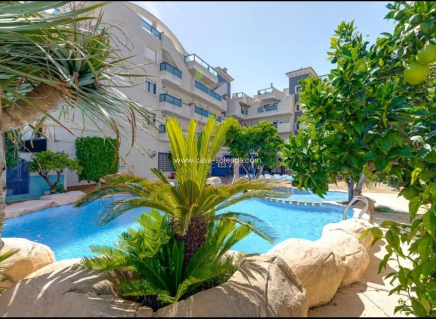 Resale - Apartment / flat - Cabo Roig