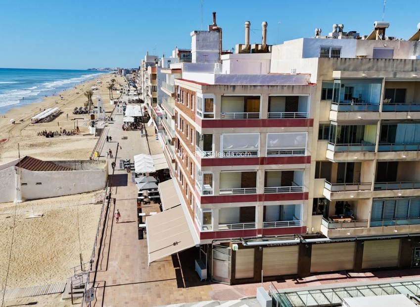 Resale - Apartment / flat - Guardamar del Segura - Costa Blanca