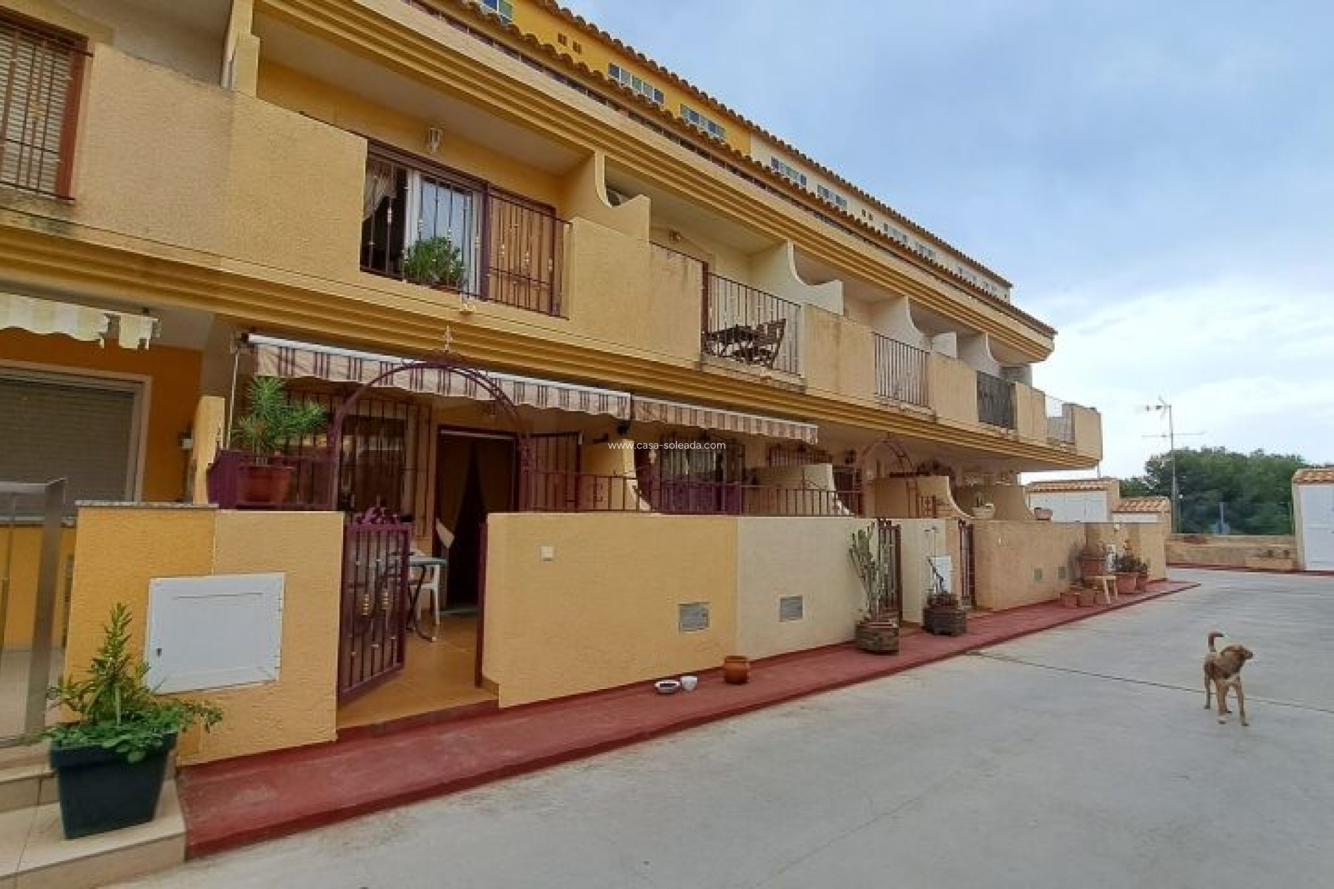 Resale - Apartment / flat - Orihuela Costa - Costa Blanca