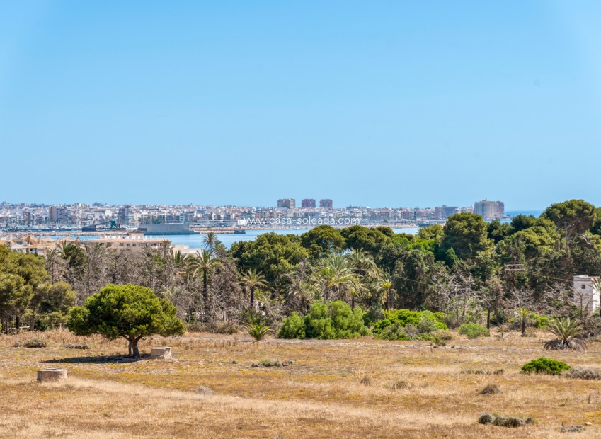 Resale - Apartment / flat - Punta Prima - Costa Blanca