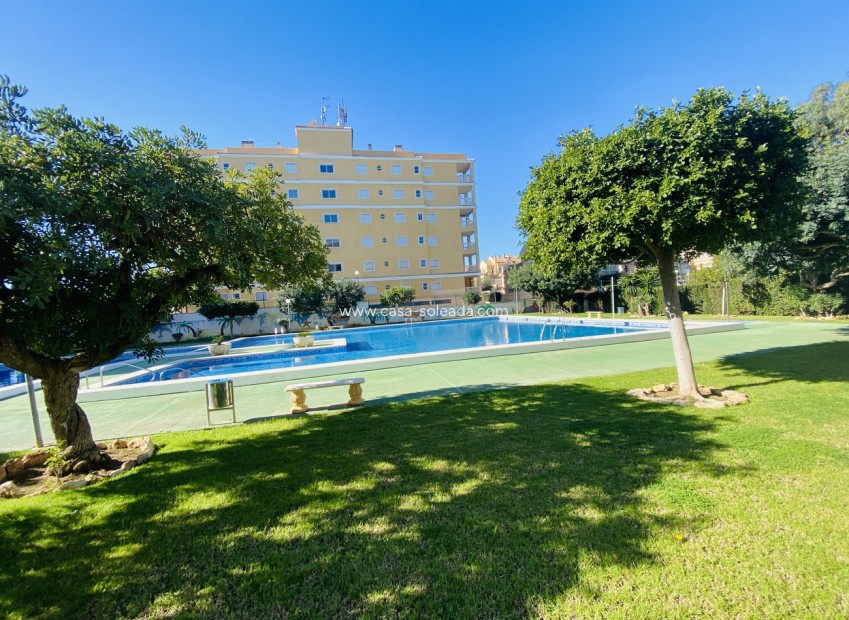 Resale - Apartment / flat - Torrevieja