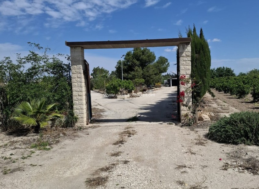 Resale - Country Property/Finca - Guardamar del Segura - Costa Blanca