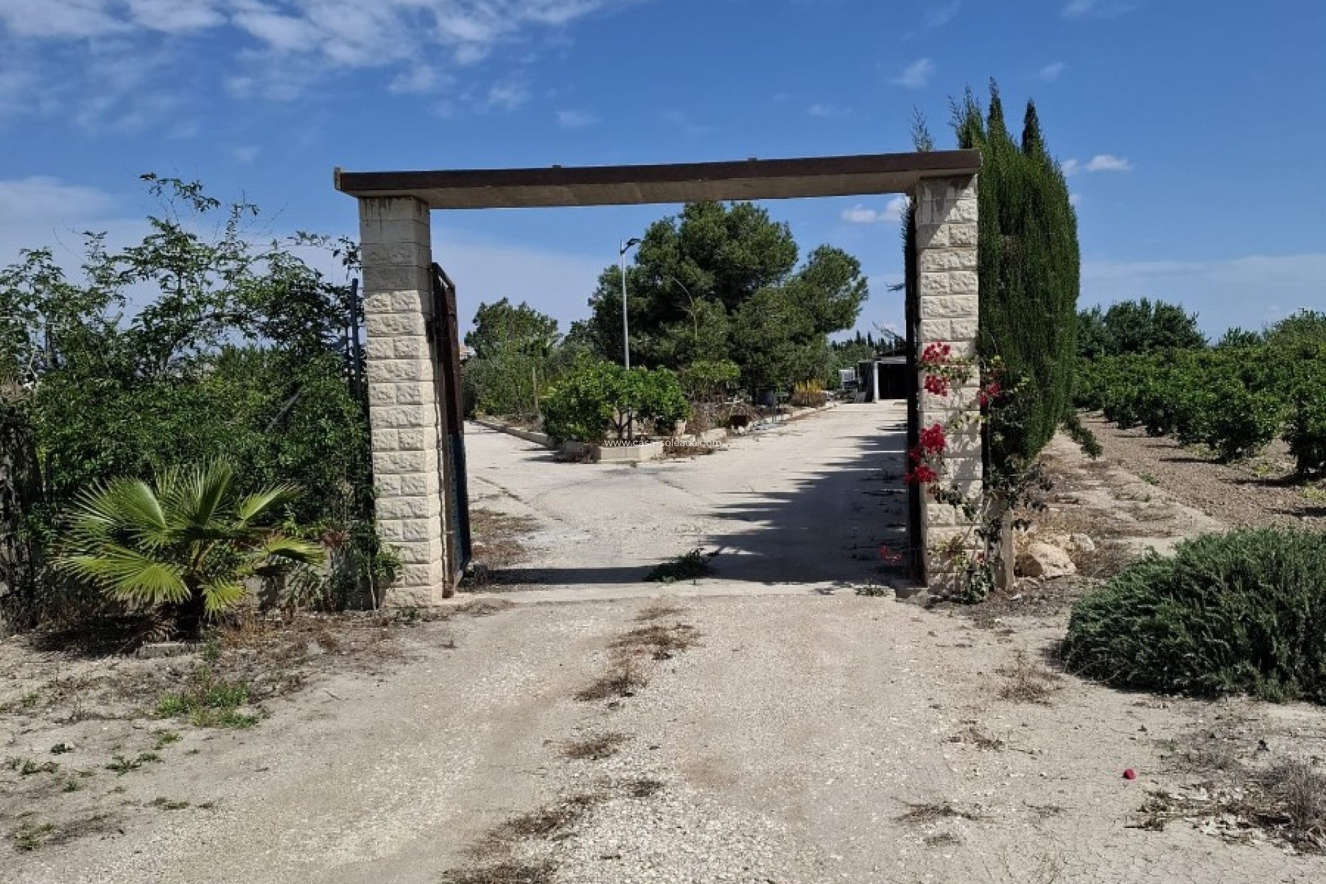 Resale - Country Property/Finca - Guardamar del Segura - Costa Blanca