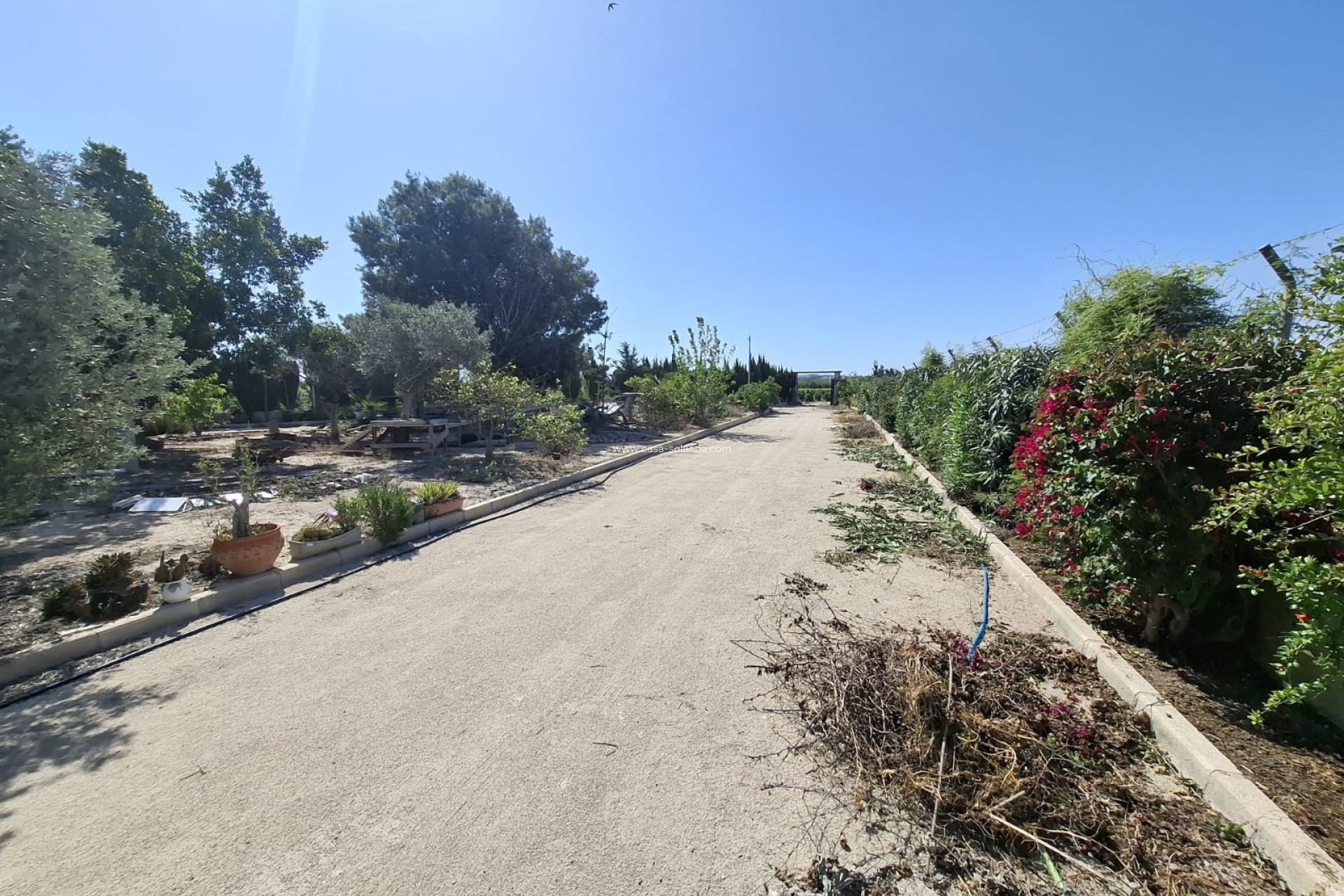 Resale - Country Property/Finca - Guardamar del Segura - Costa Blanca