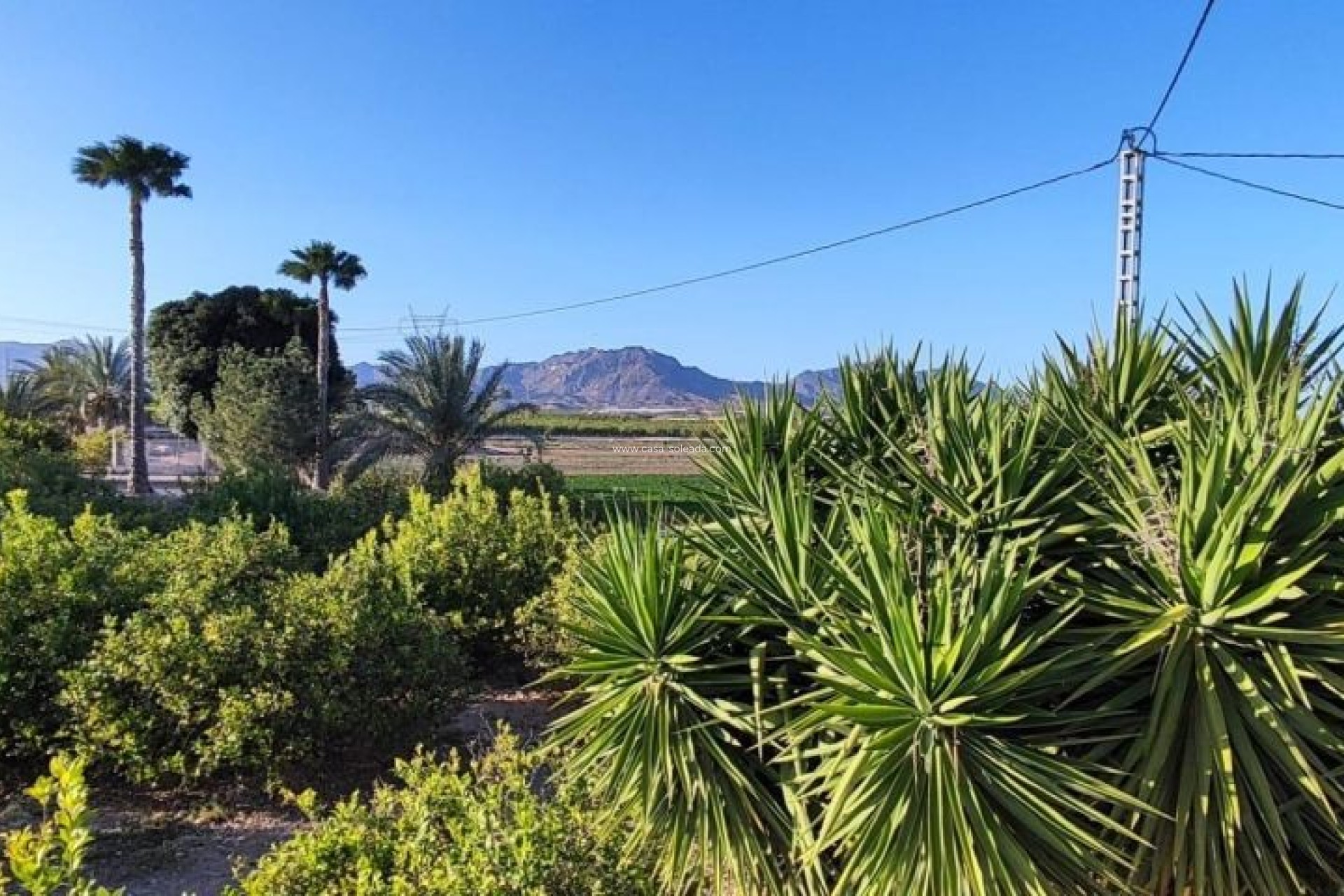 Resale - Country Property/Finca - Orihuela - Inland