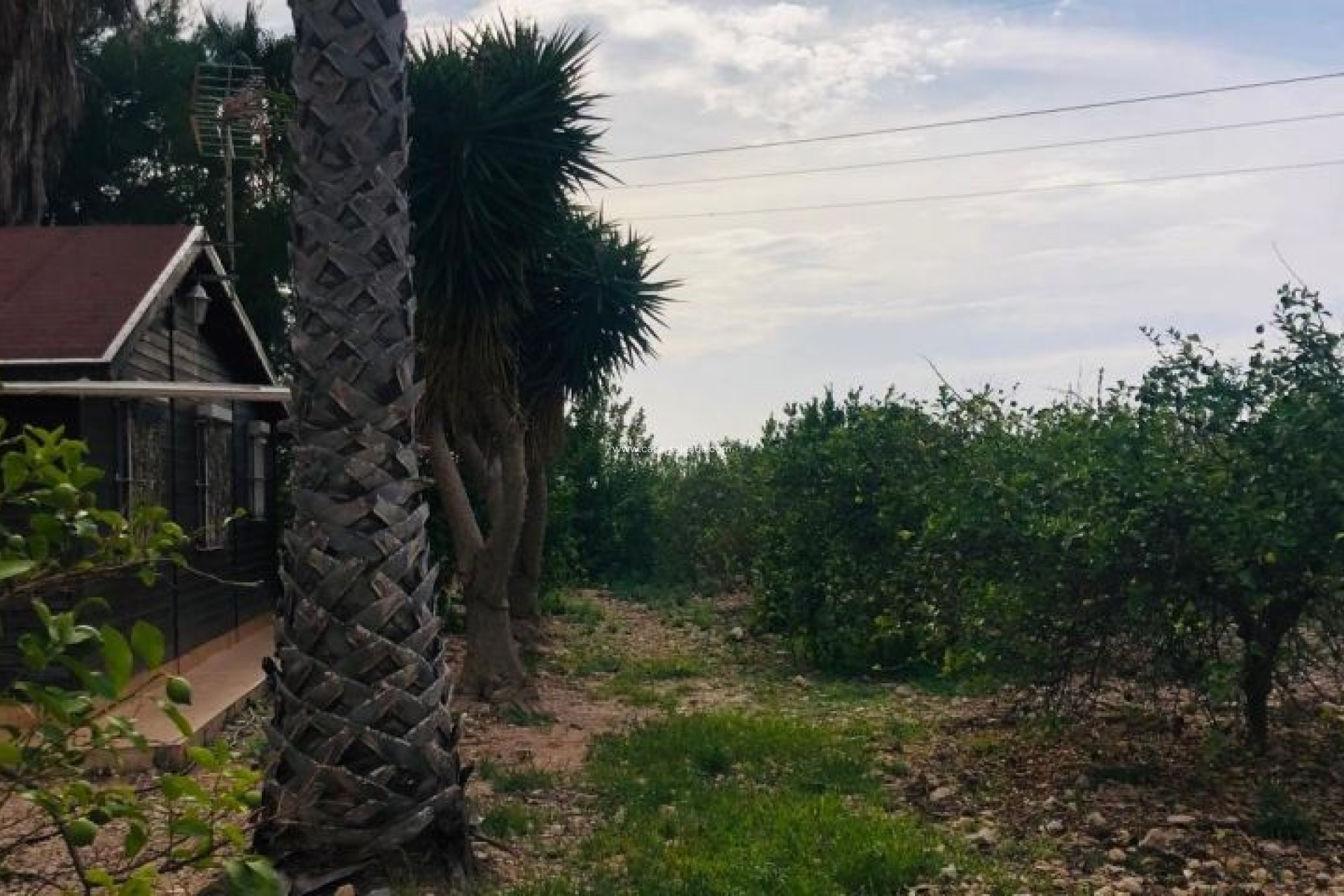 Resale - Country Property/Finca - Orihuela - Inland