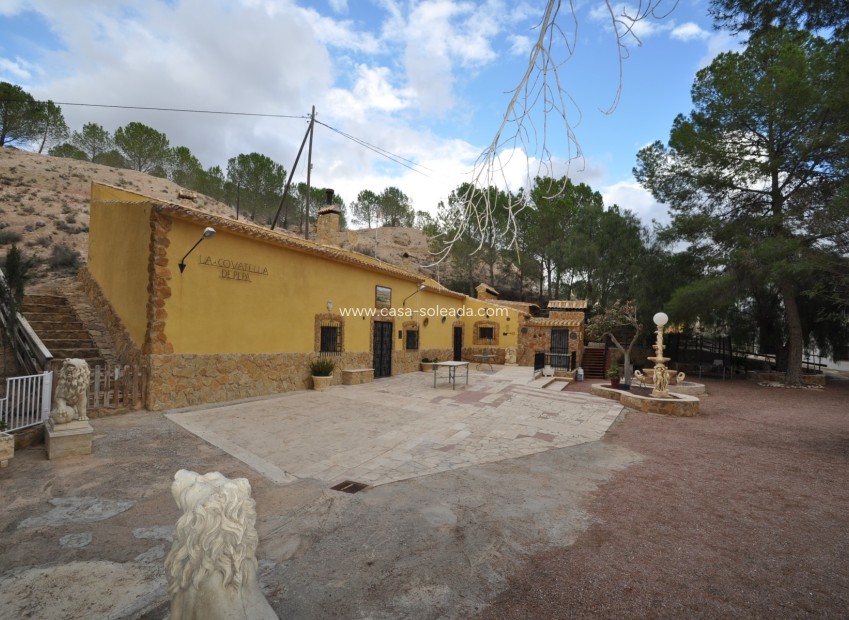 Resale - Country Property/Finca - Pinoso - Inland