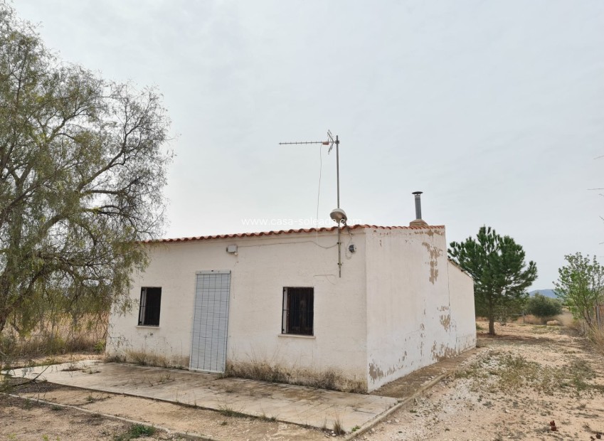 Resale - Country Property/Finca - Pinoso - Inland