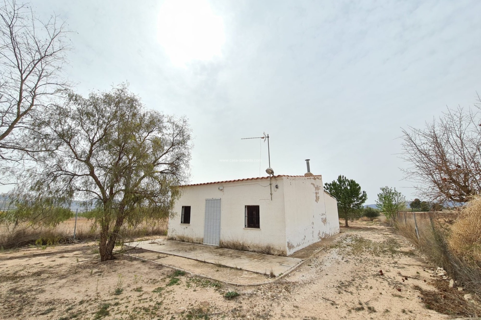 Resale - Country Property/Finca - Pinoso - Inland