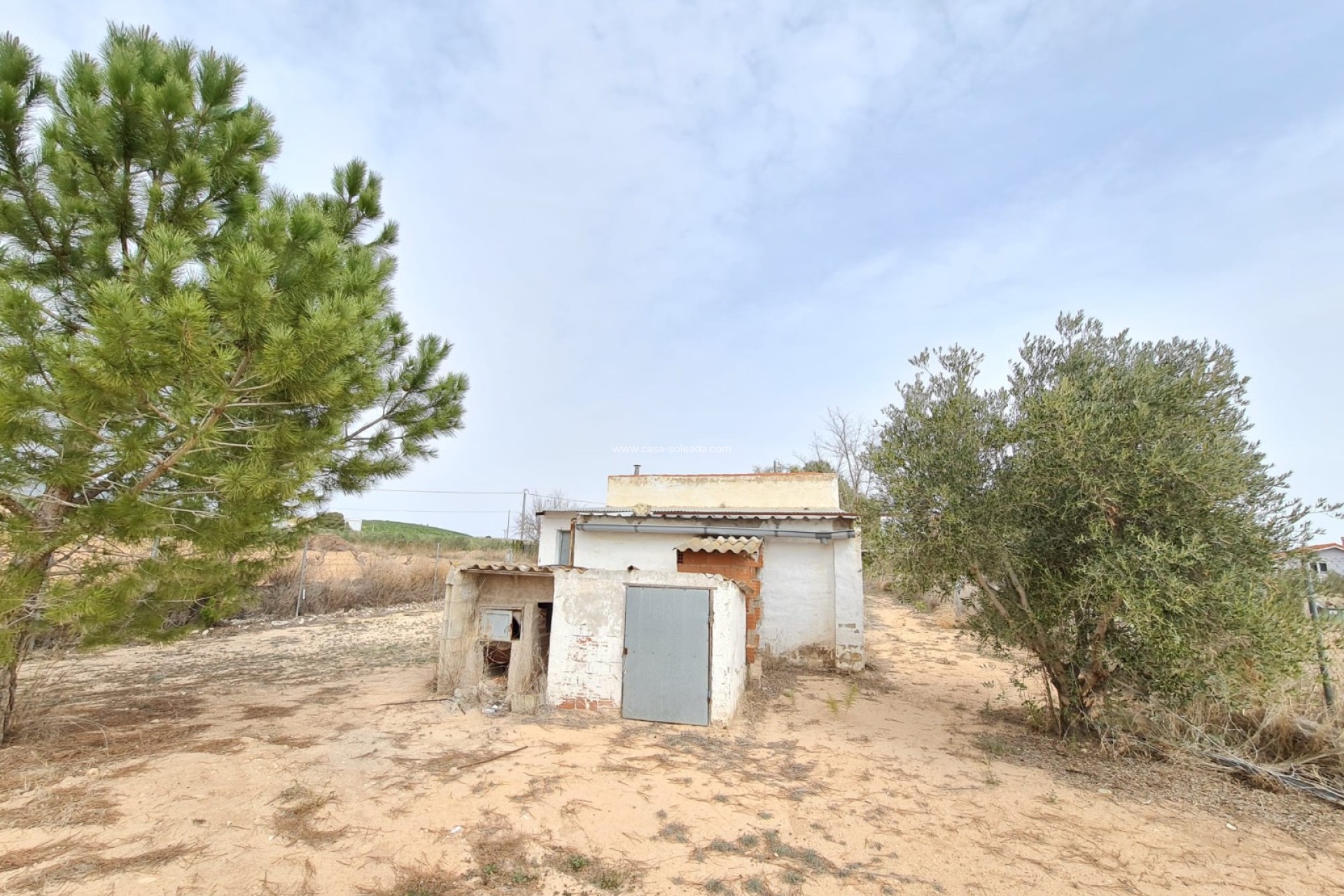 Resale - Country Property/Finca - Pinoso - Inland