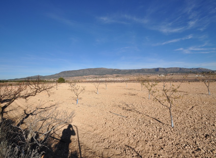 Resale - Country Property/Finca - Pinoso - Inland