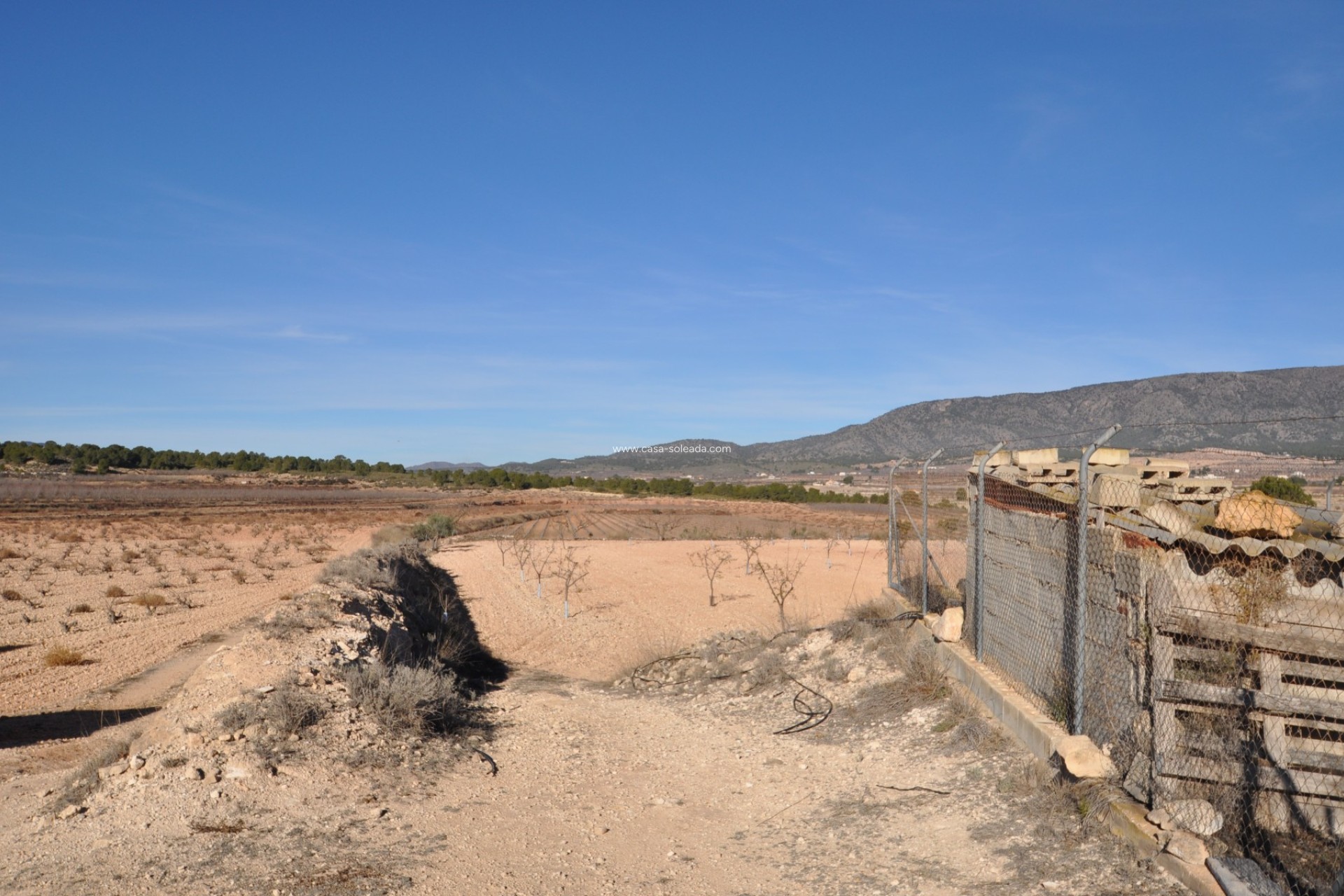 Resale - Country Property/Finca - Pinoso - Inland