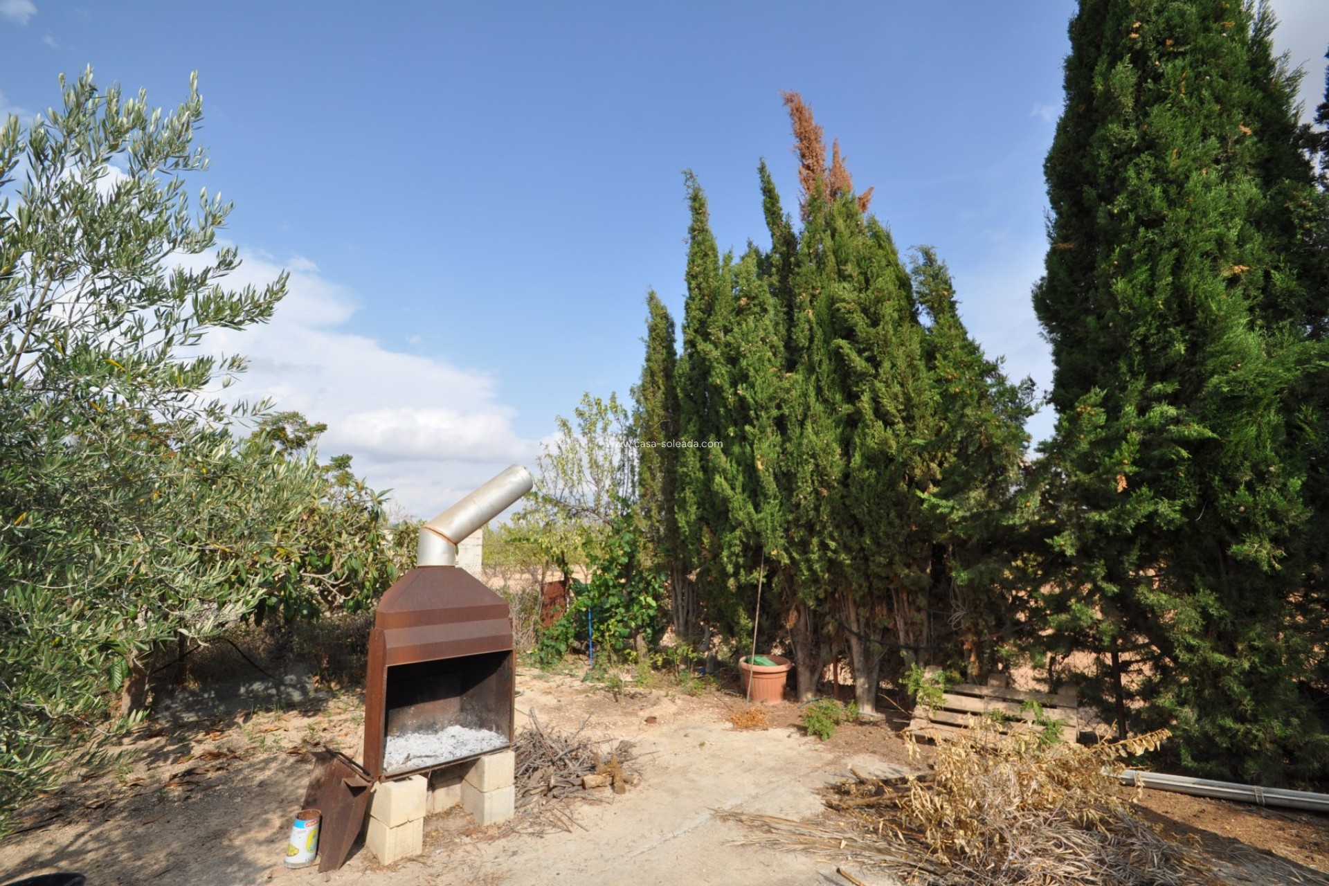 Resale - Country Property/Finca - Pinoso - Inland