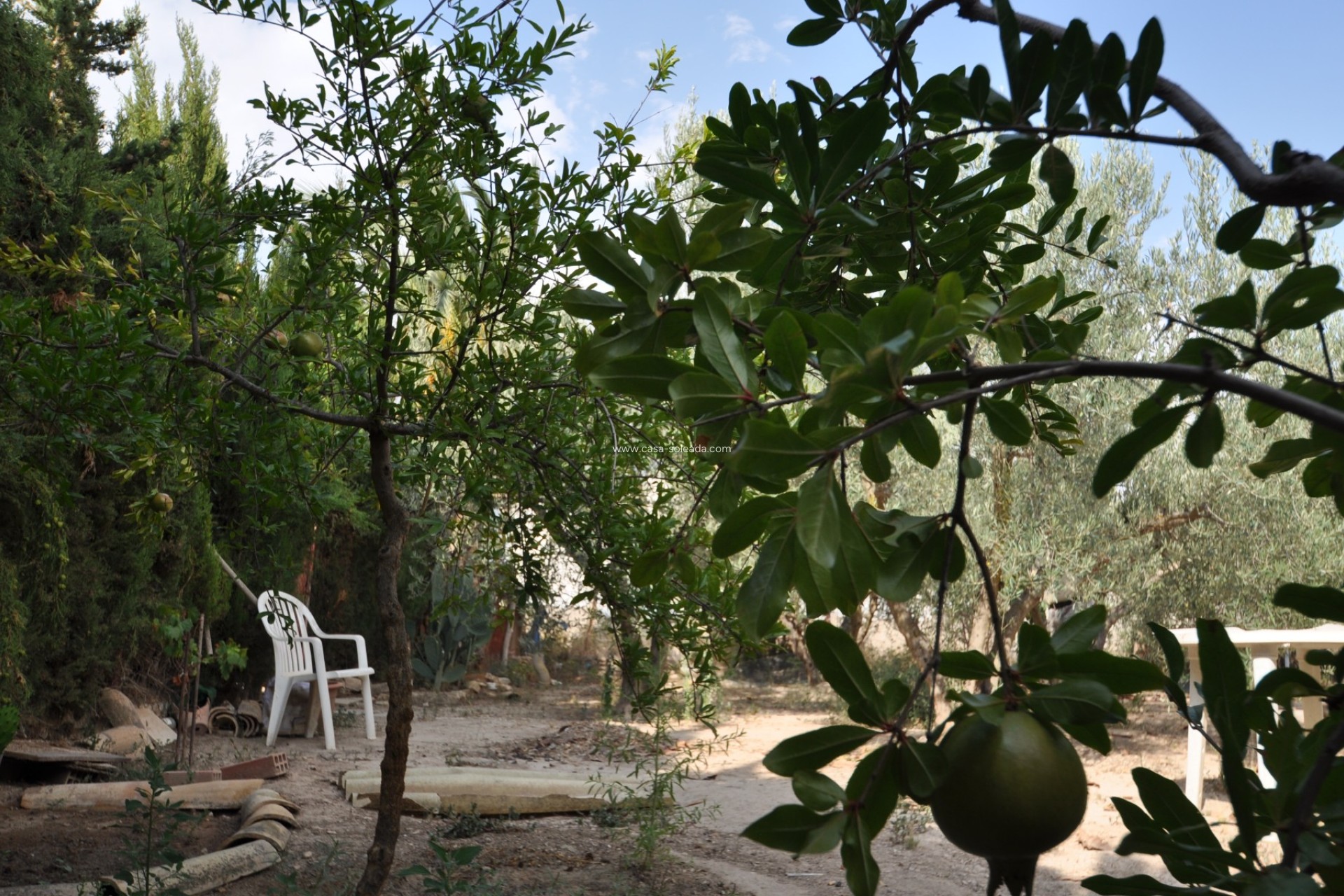 Resale - Country Property/Finca - Pinoso - Inland