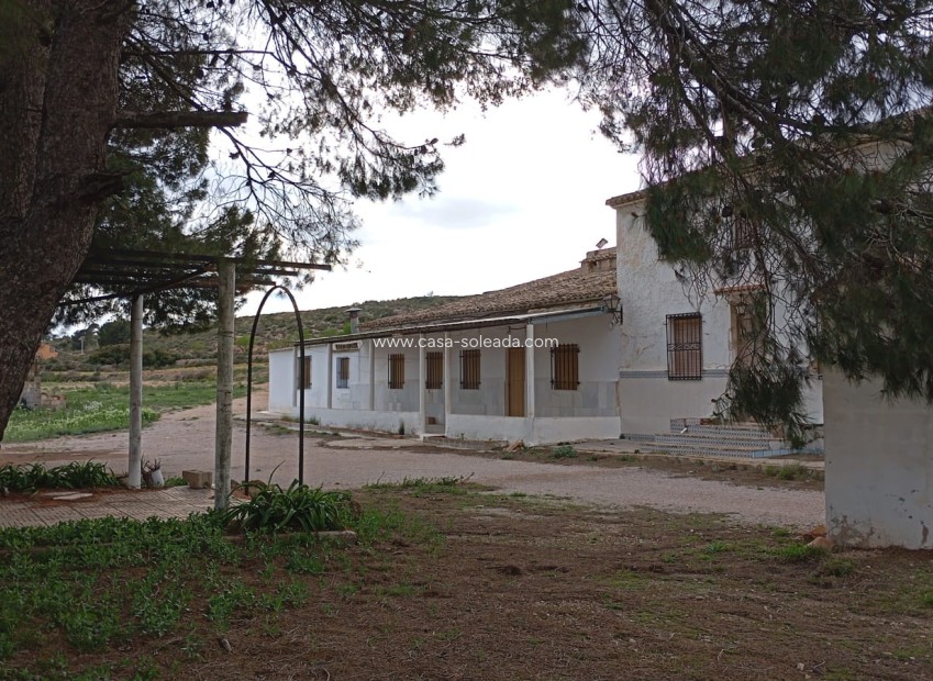 Resale - Country Property/Finca - Yecla - Inland
