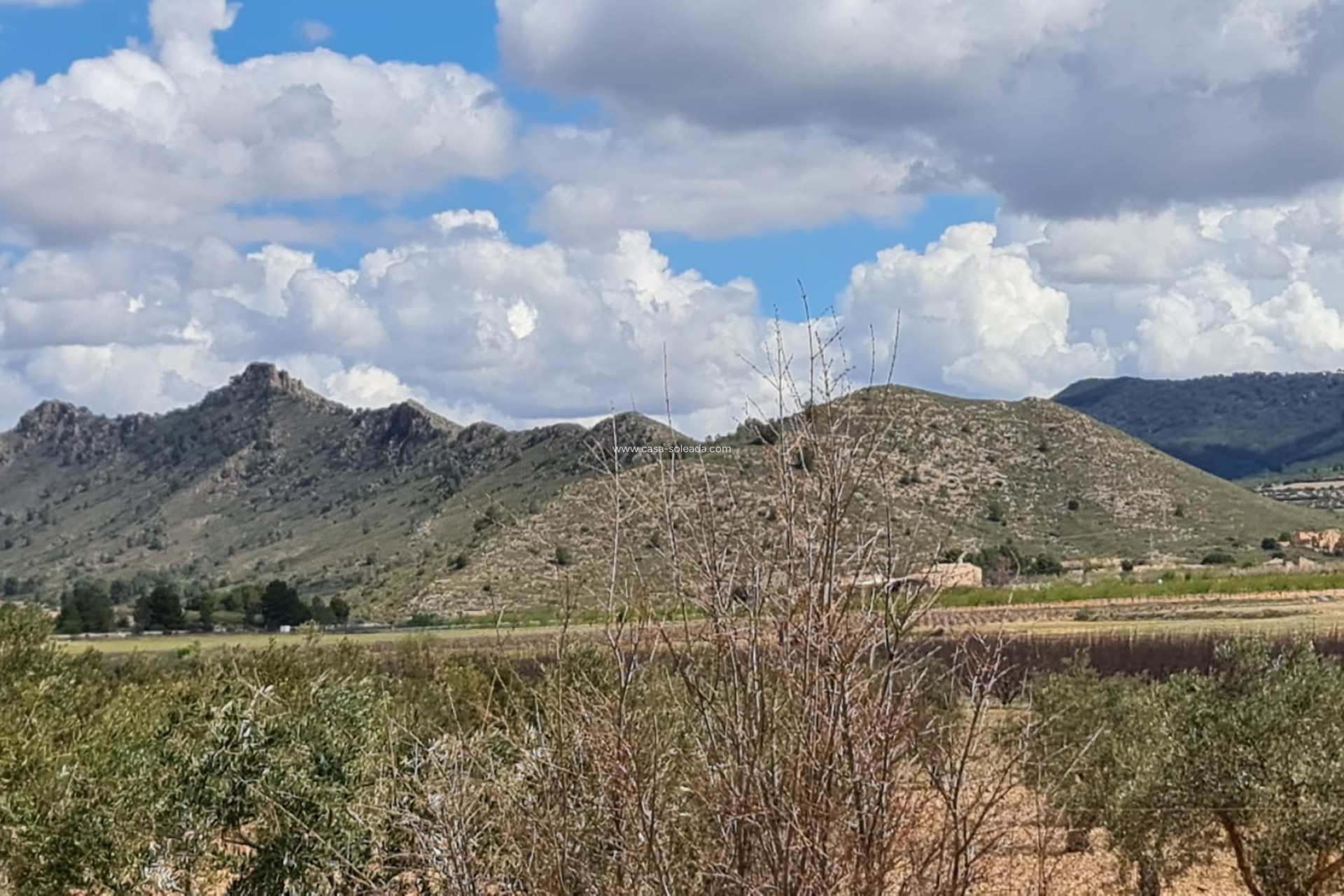 Resale - Country Property/Finca - Yecla - Inland