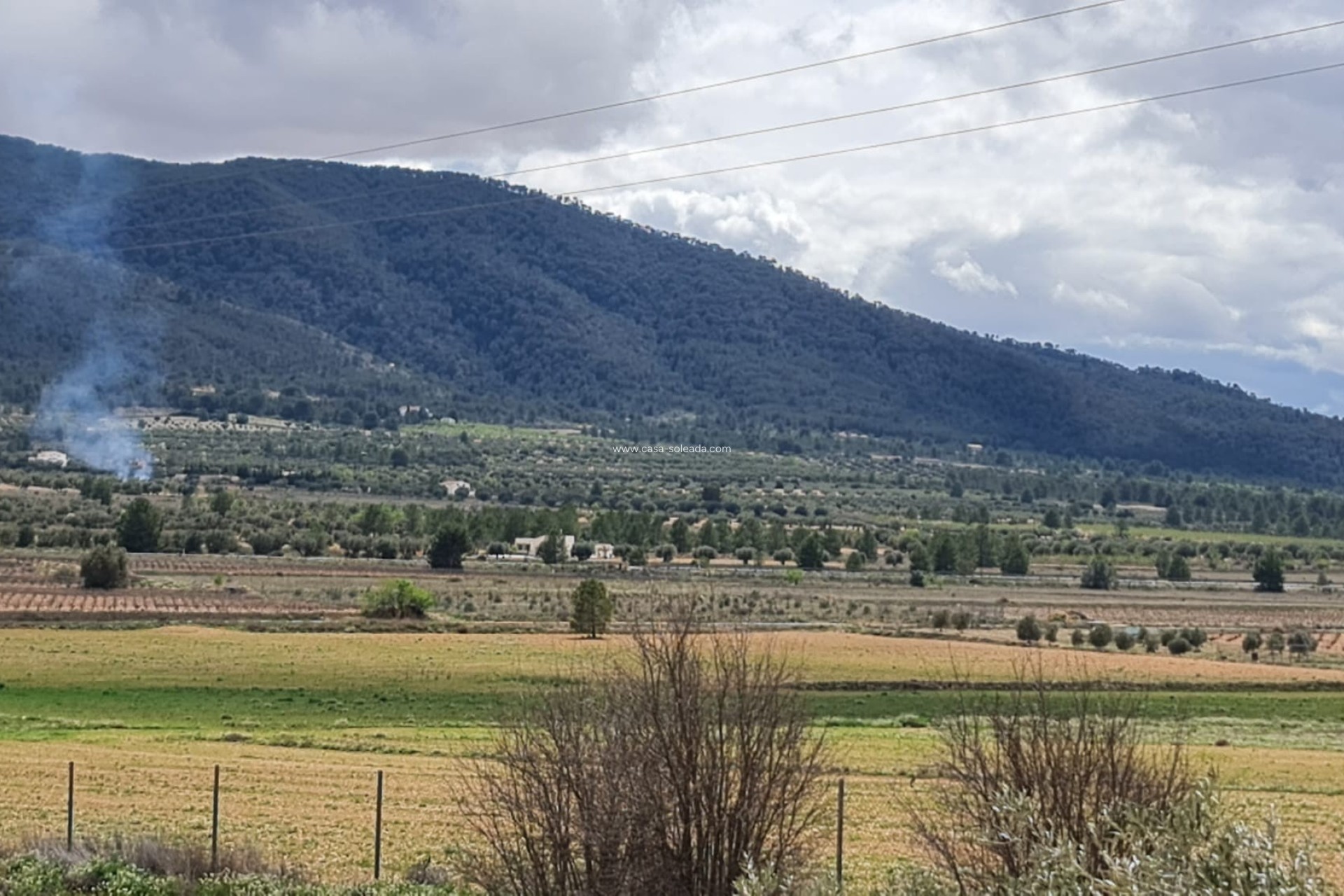 Resale - Country Property/Finca - Yecla - Inland