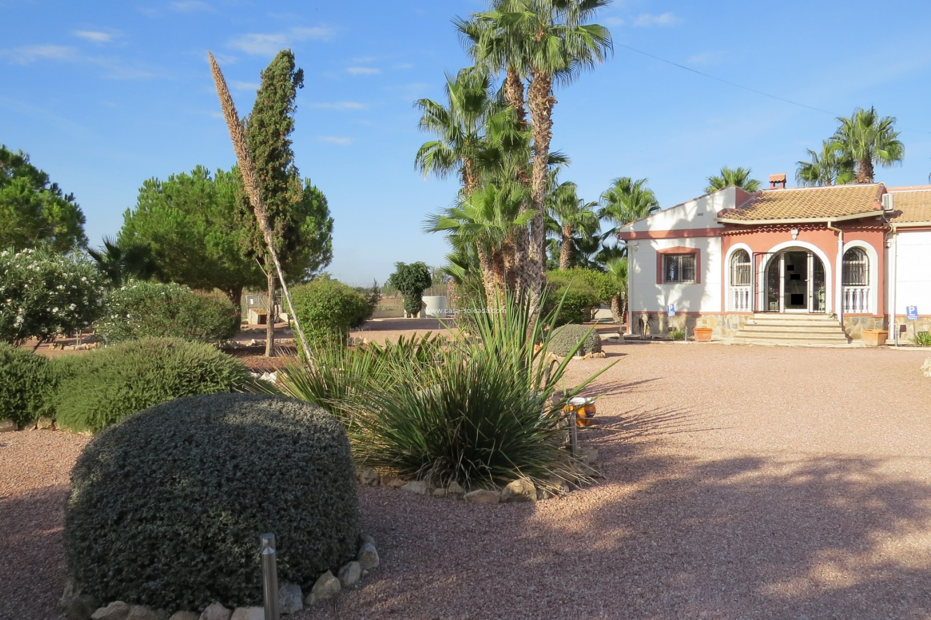 Resale - Finca / Country Property - Daya Vieja - Daya vieja