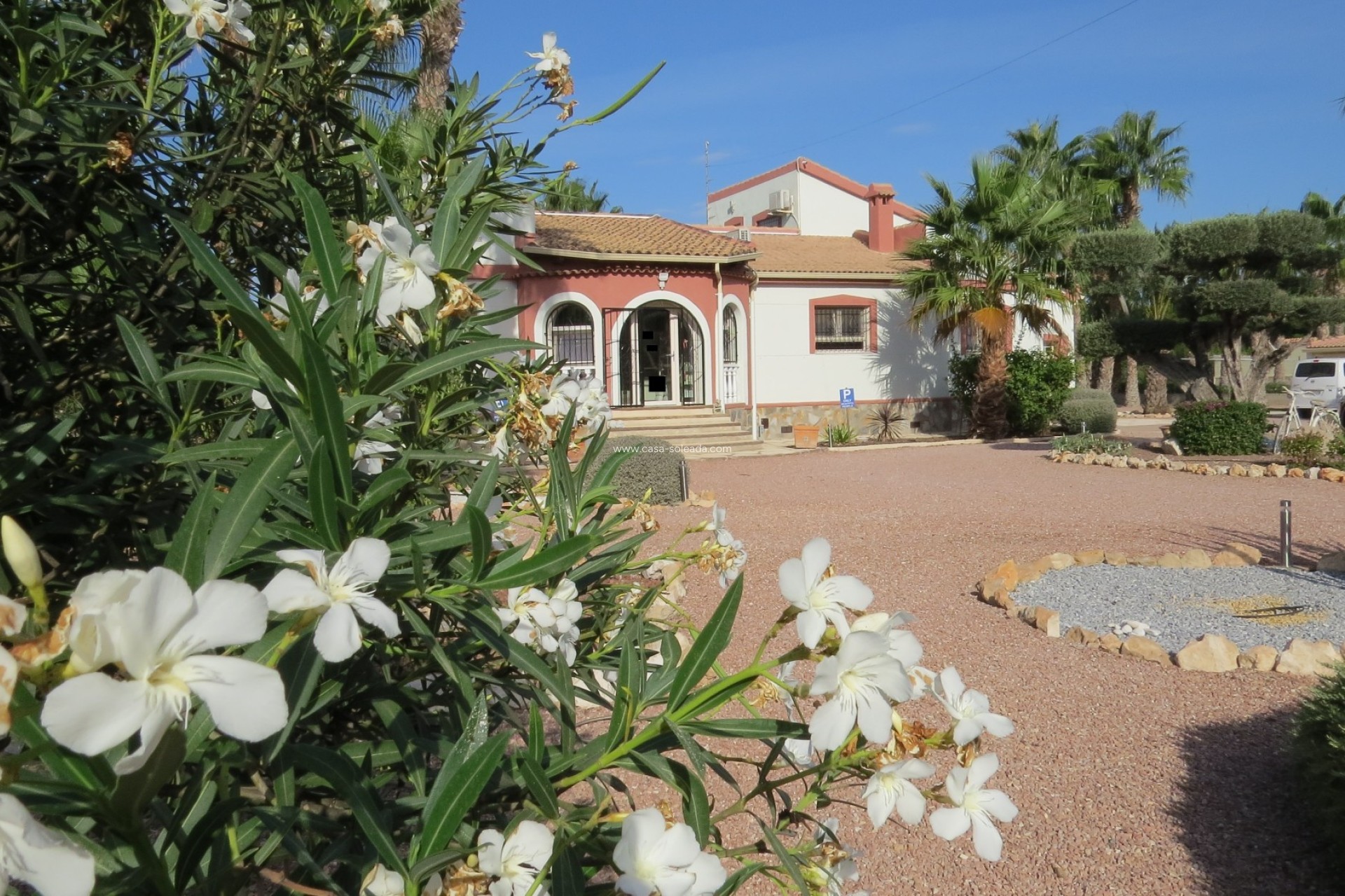 Resale - Finca / Country Property - Daya Vieja - Daya vieja