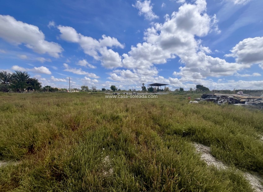 Resale - Land - Catral - Costa Blanca