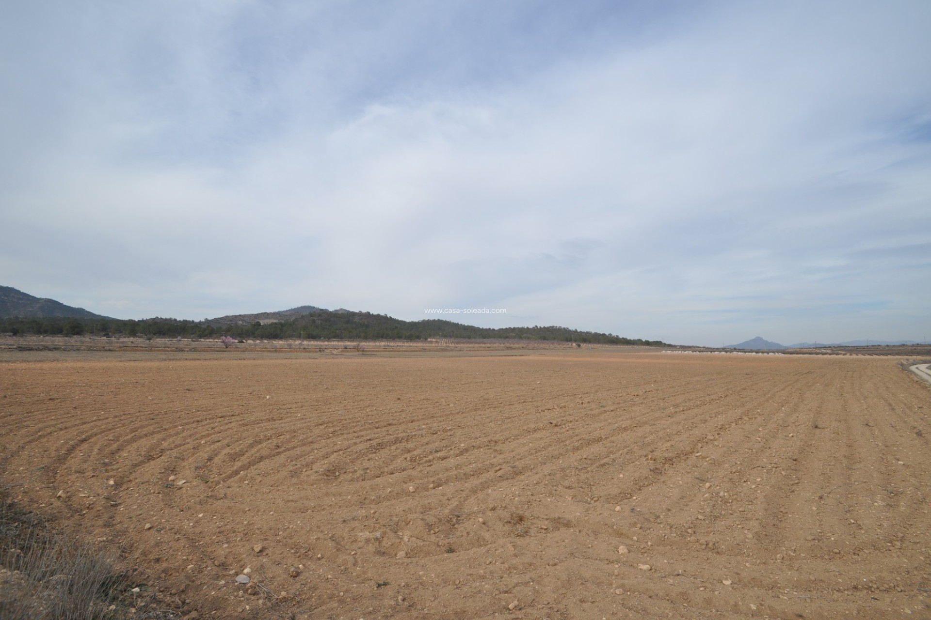 Resale - Land - Monóvar - Inland