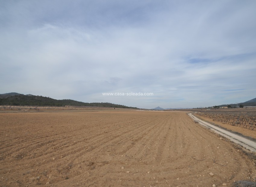 Resale - Land - Monóvar - Inland