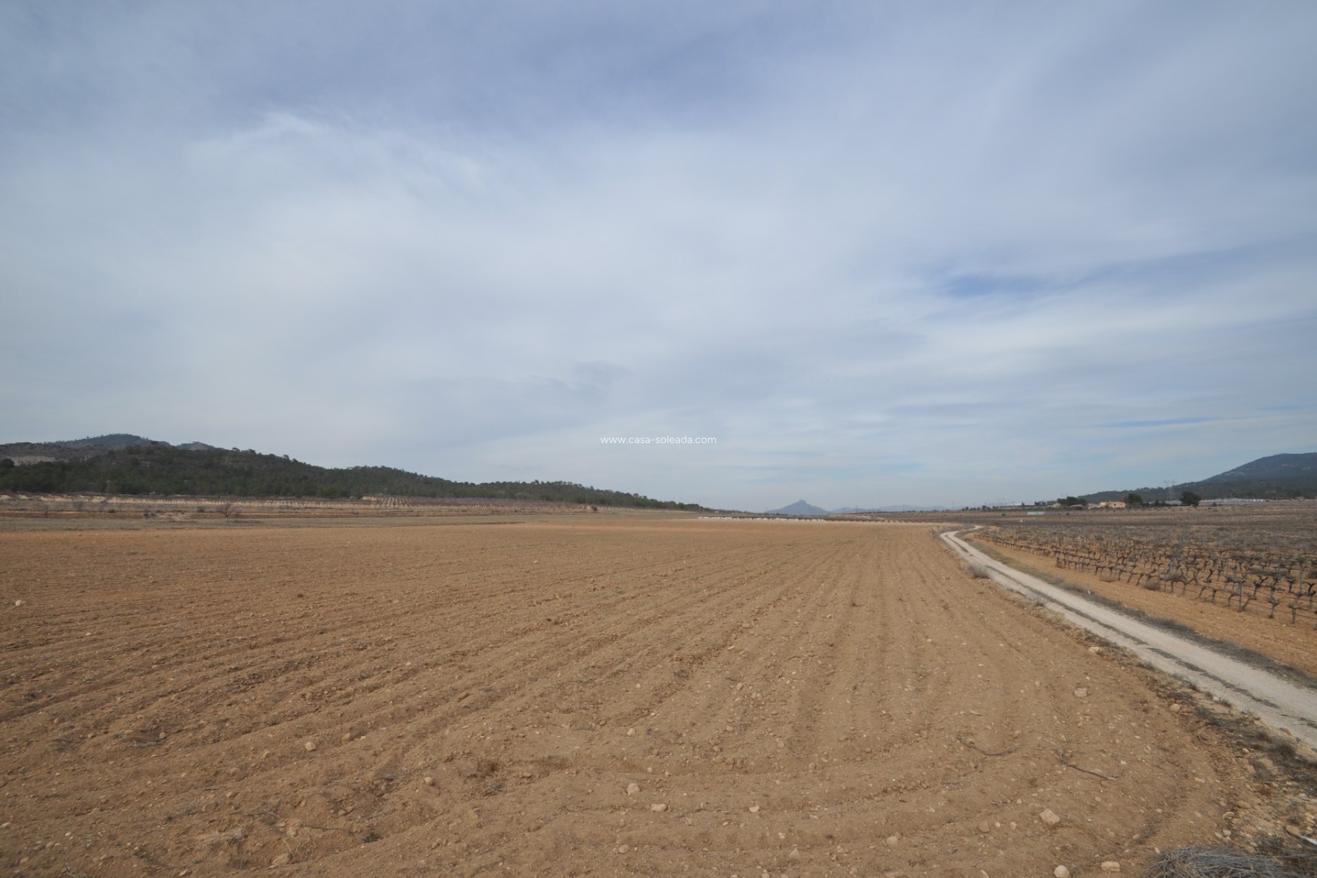 Resale - Land - Monóvar - Inland