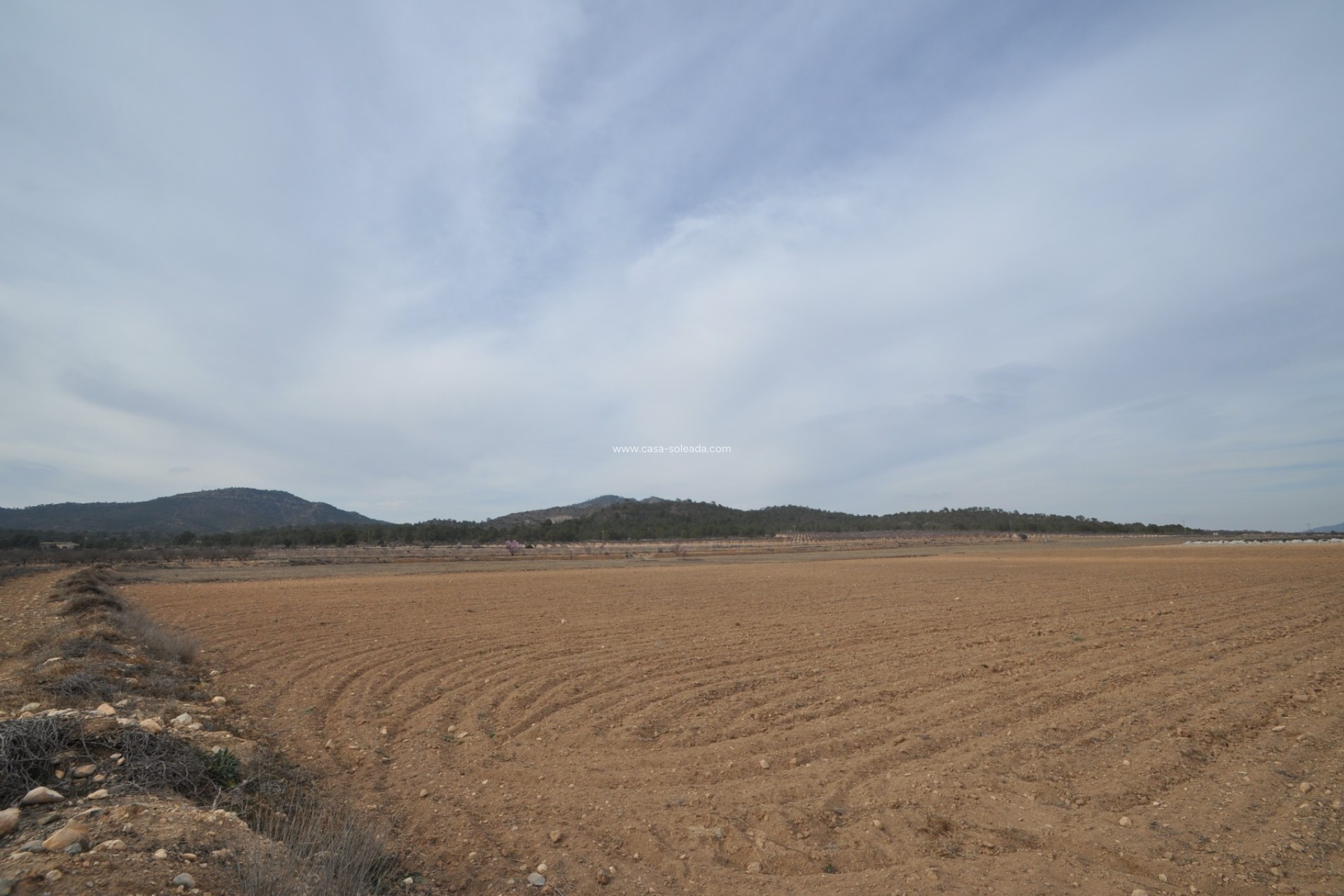 Resale - Land - Monóvar - Inland