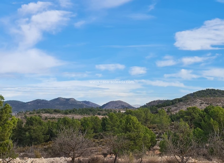 Resale - Land - Monóvar - Inland