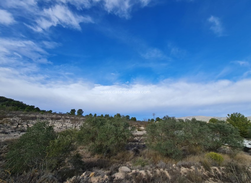 Resale - Land - Monóvar - Inland