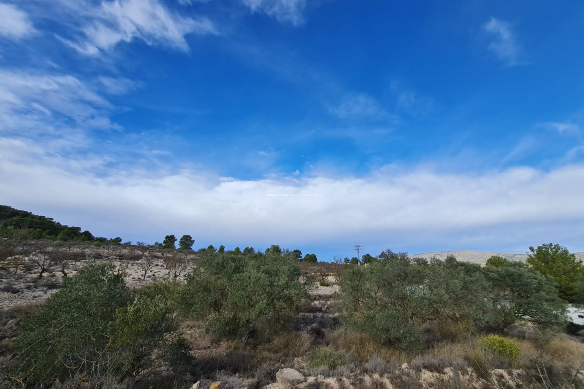 Resale - Land - Monóvar - Inland