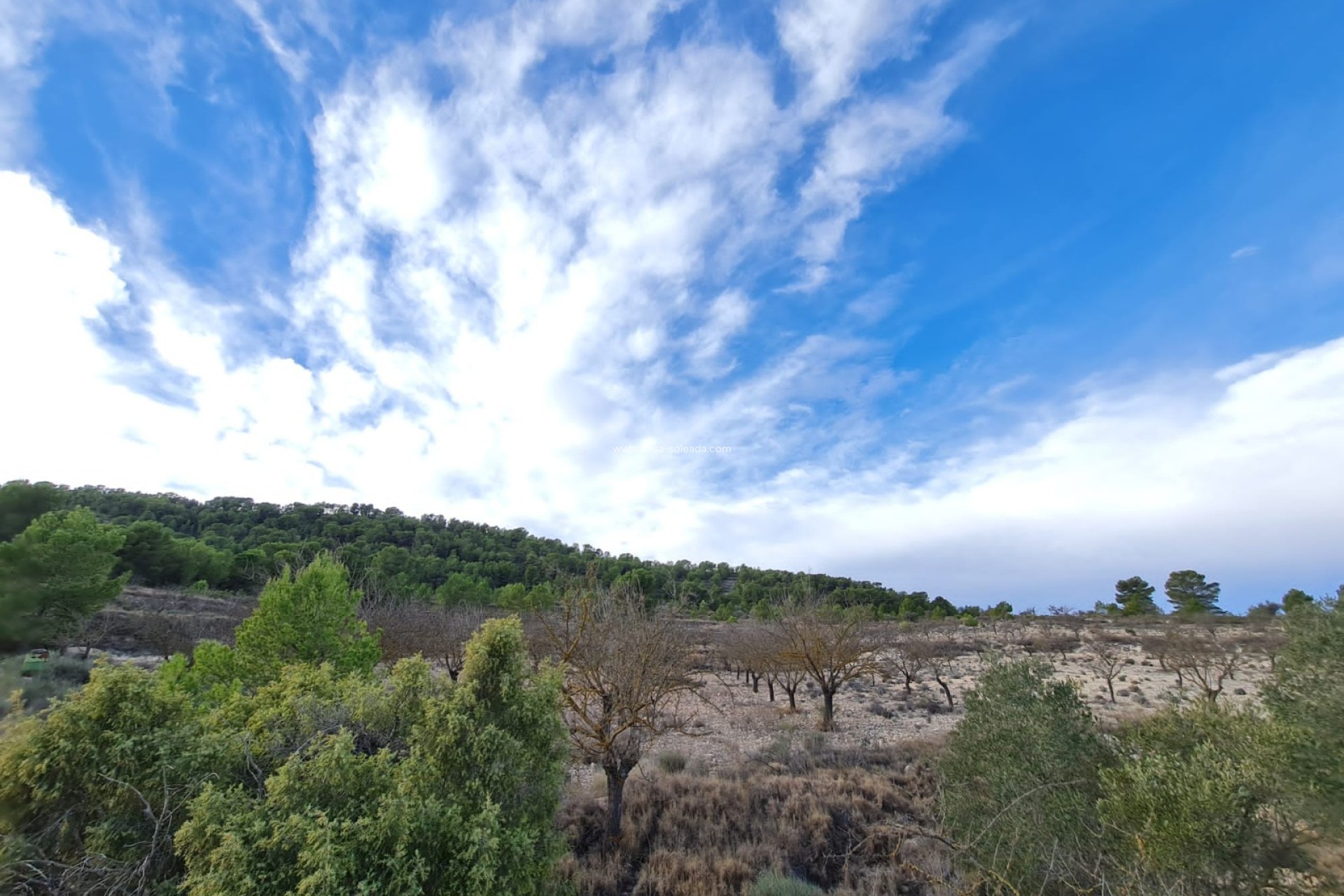 Resale - Land - Monóvar - Inland